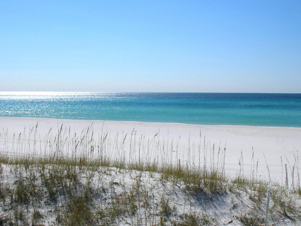 Panama City Beach Dolphins host free football and cheer camp